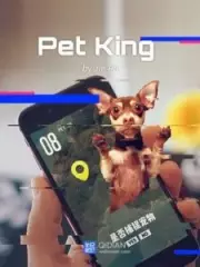 Pet King