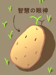 About the Story of a Brave Man Being a Potato for a Thousand Years and Then the World Was Destroyed